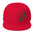 The Lizards Snapback Hat | Phish Hat | Lizards Phish Hat | Snapback Hat | Green Lizards Hat | Phish Hat
