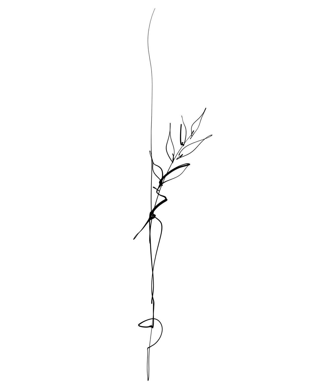 Single Line Botanical