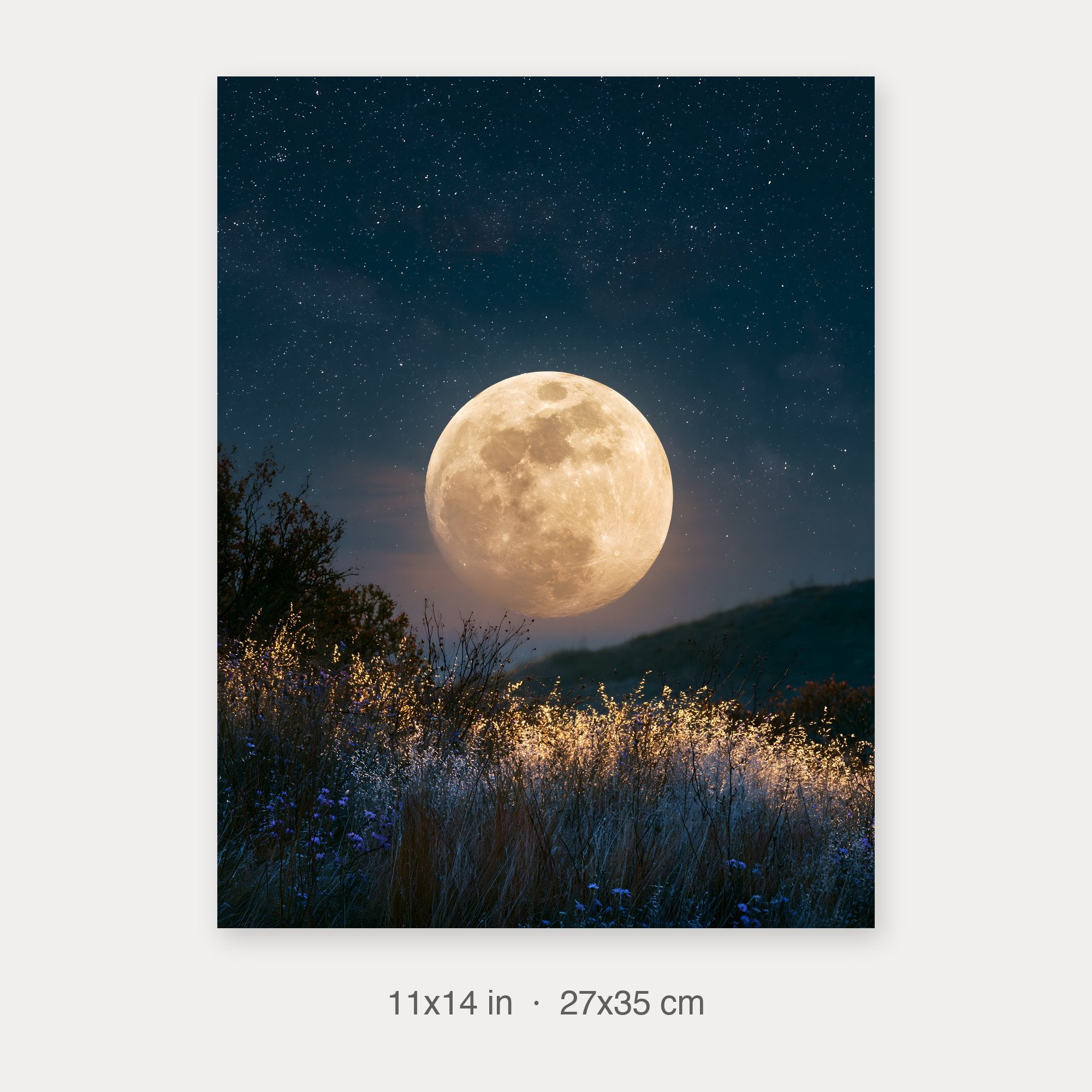 Fine Art Print 11x14 crop preview