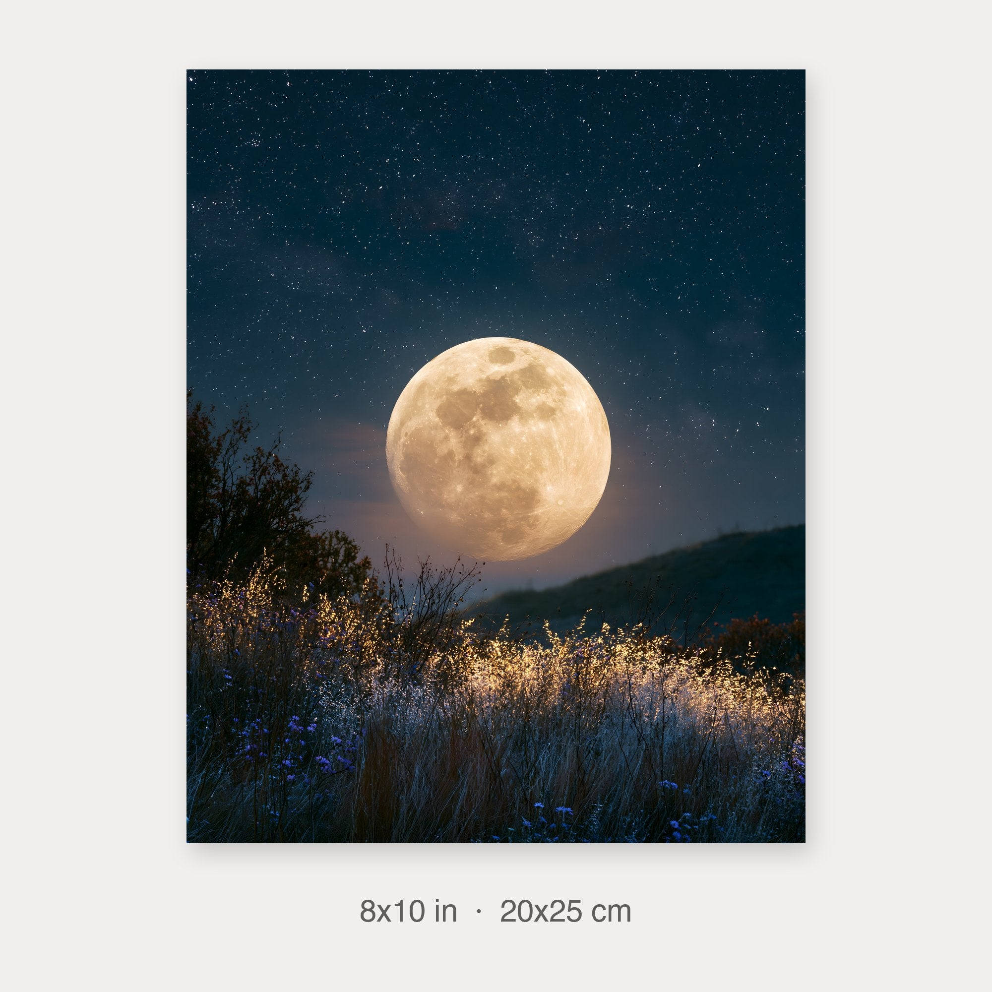 Fine Art Print 8x10 crop preview