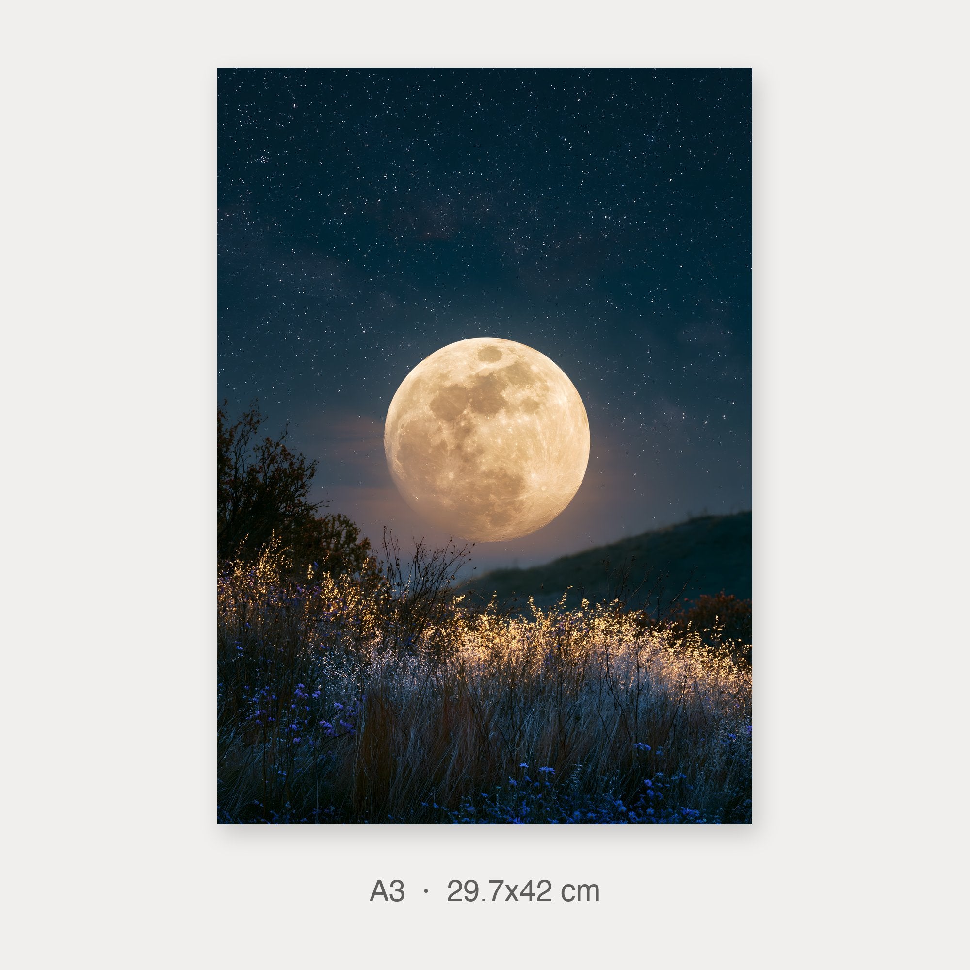 Fine Art Print A3 crop preview