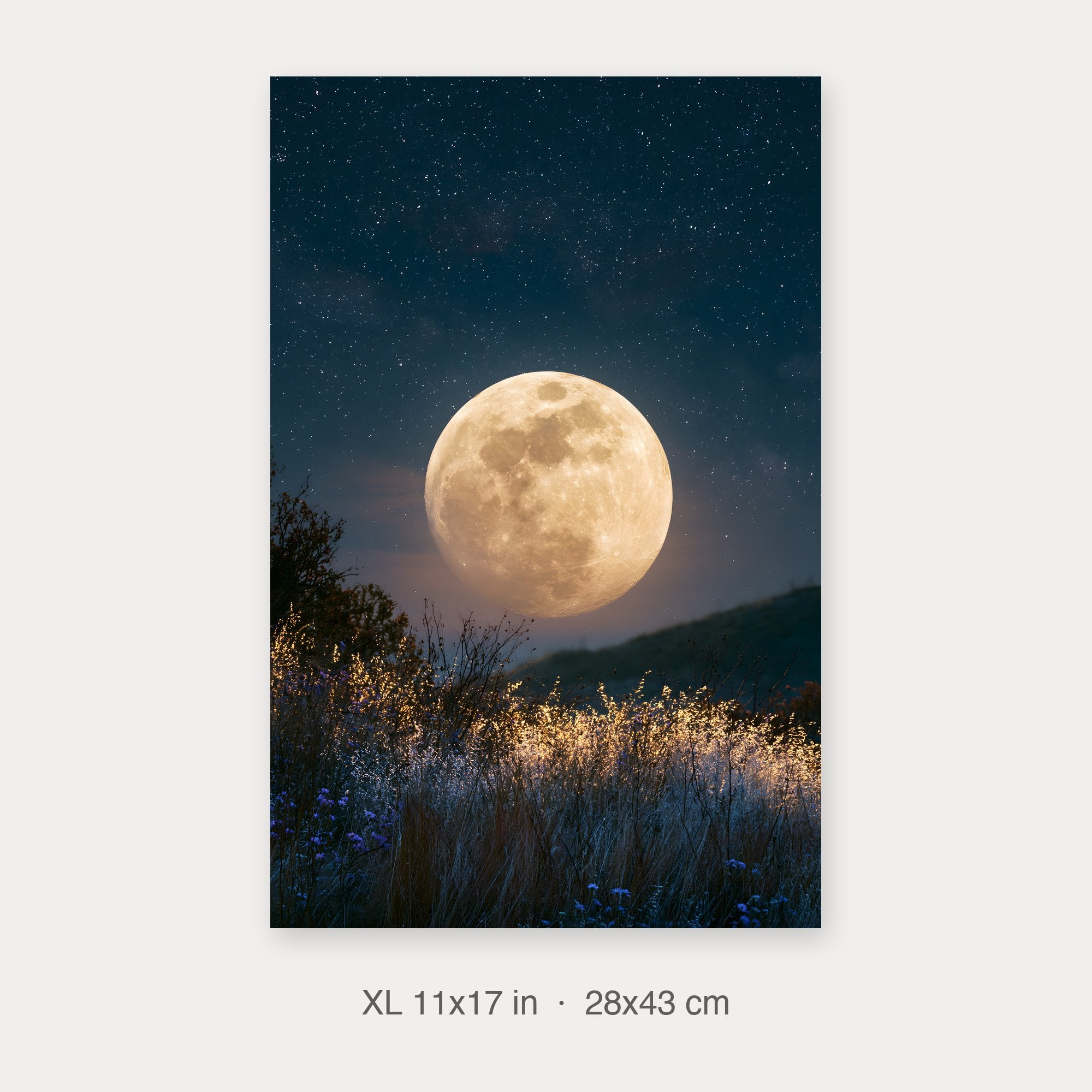 Semi-Gloss Poster 11x17 crop preview