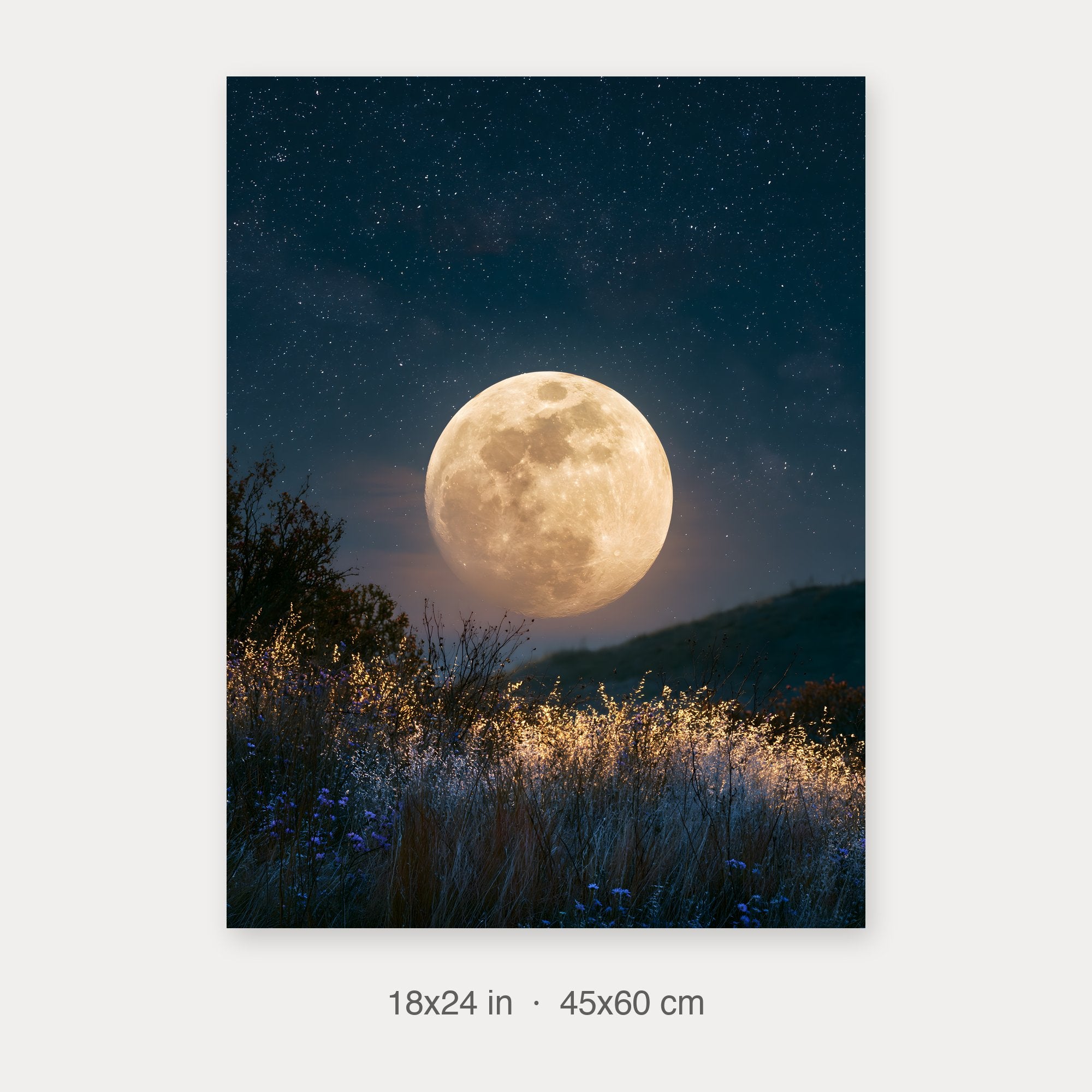 Semi-Gloss Poster 18x24 crop preview