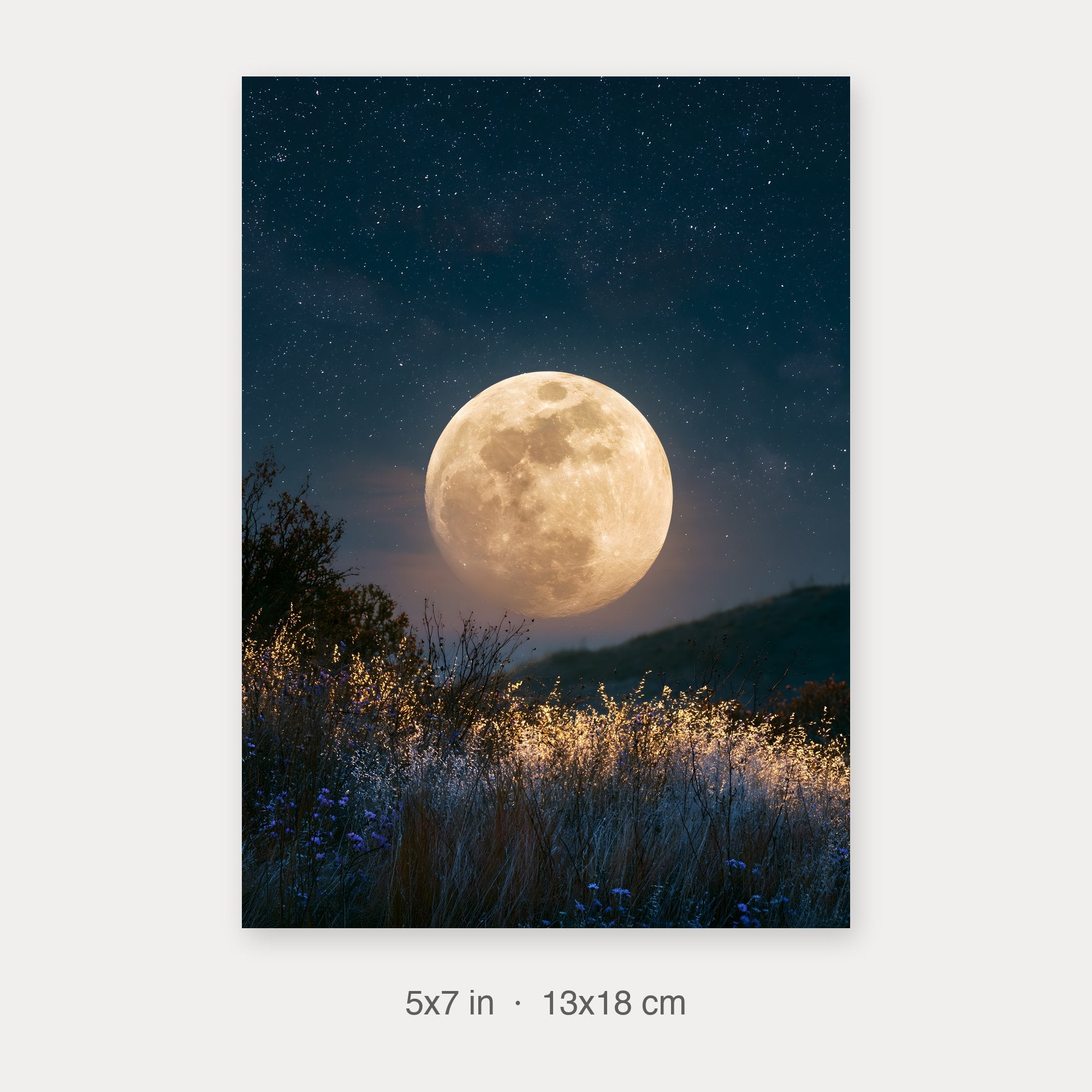 Semi-Gloss Poster 5x7 crop preview