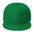 The Lizards Snapback Hat | Phish Hat | Lizards Phish Hat | Snapback Hat | Green Lizards Hat | Phish Hat