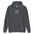 Embroidery Lizard Phish Hoodie | Land of Lizards | Summer Tour | Phish Concert Outfit | Phish Lover Gift | Unisex Hoodie