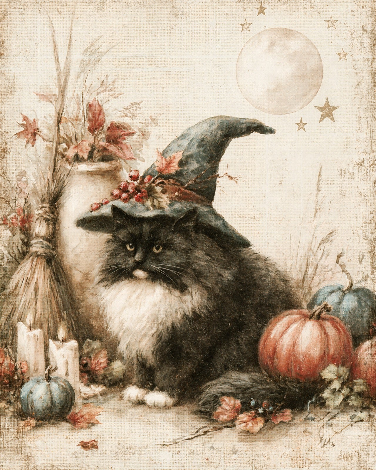 Vintage Witch Cat