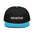 Intuitive Hat | Snapback Hat | Dynamic Intuition | Intuition Hat | Hat For Her | Hat For Him